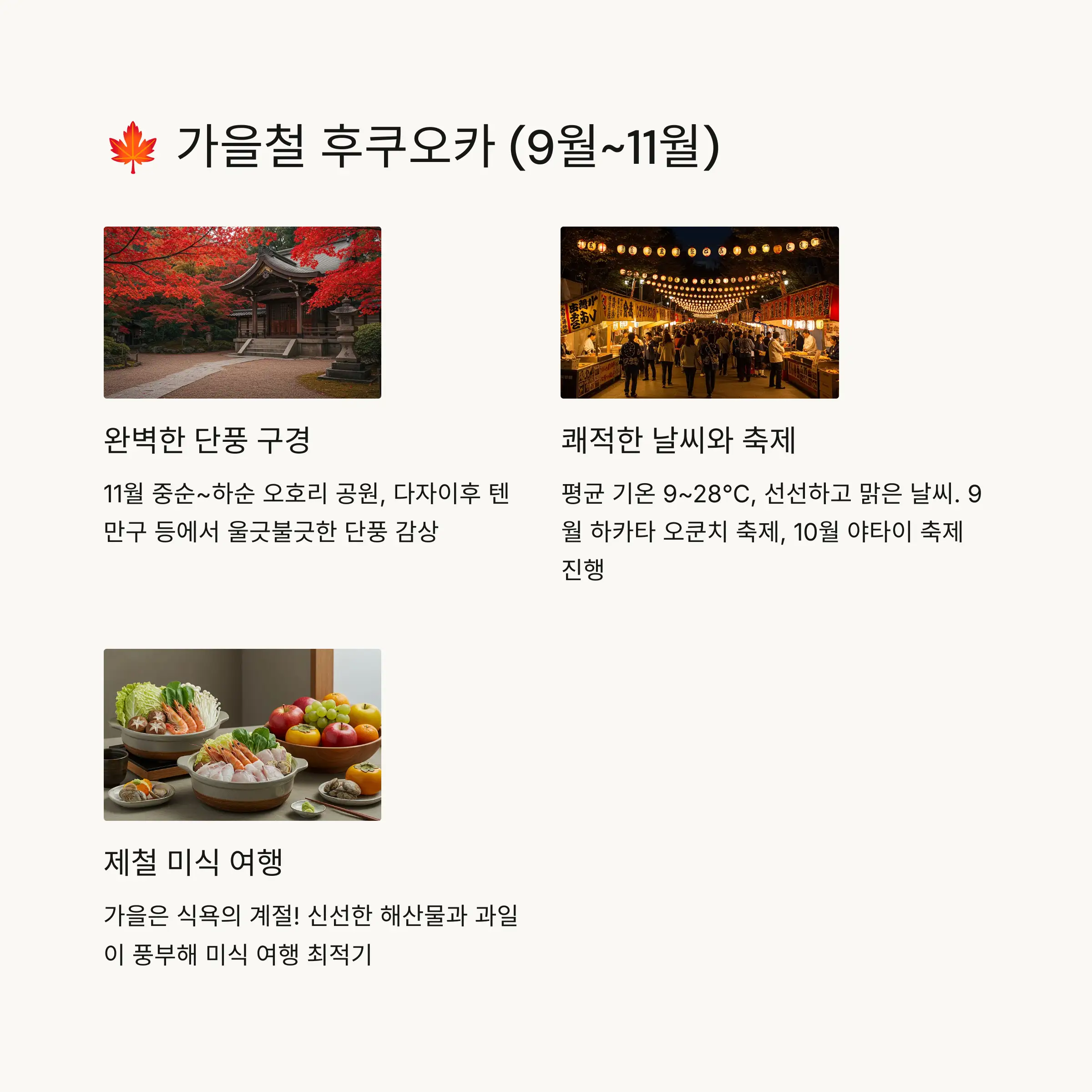 🍁 가을 (9월~11월) - 단풍과 축제