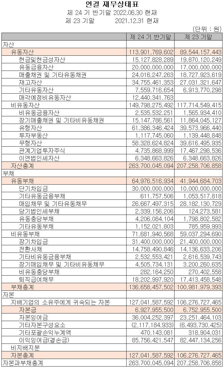 텔레칩스 - 재무상태표
