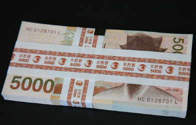 해남군-민생지원금