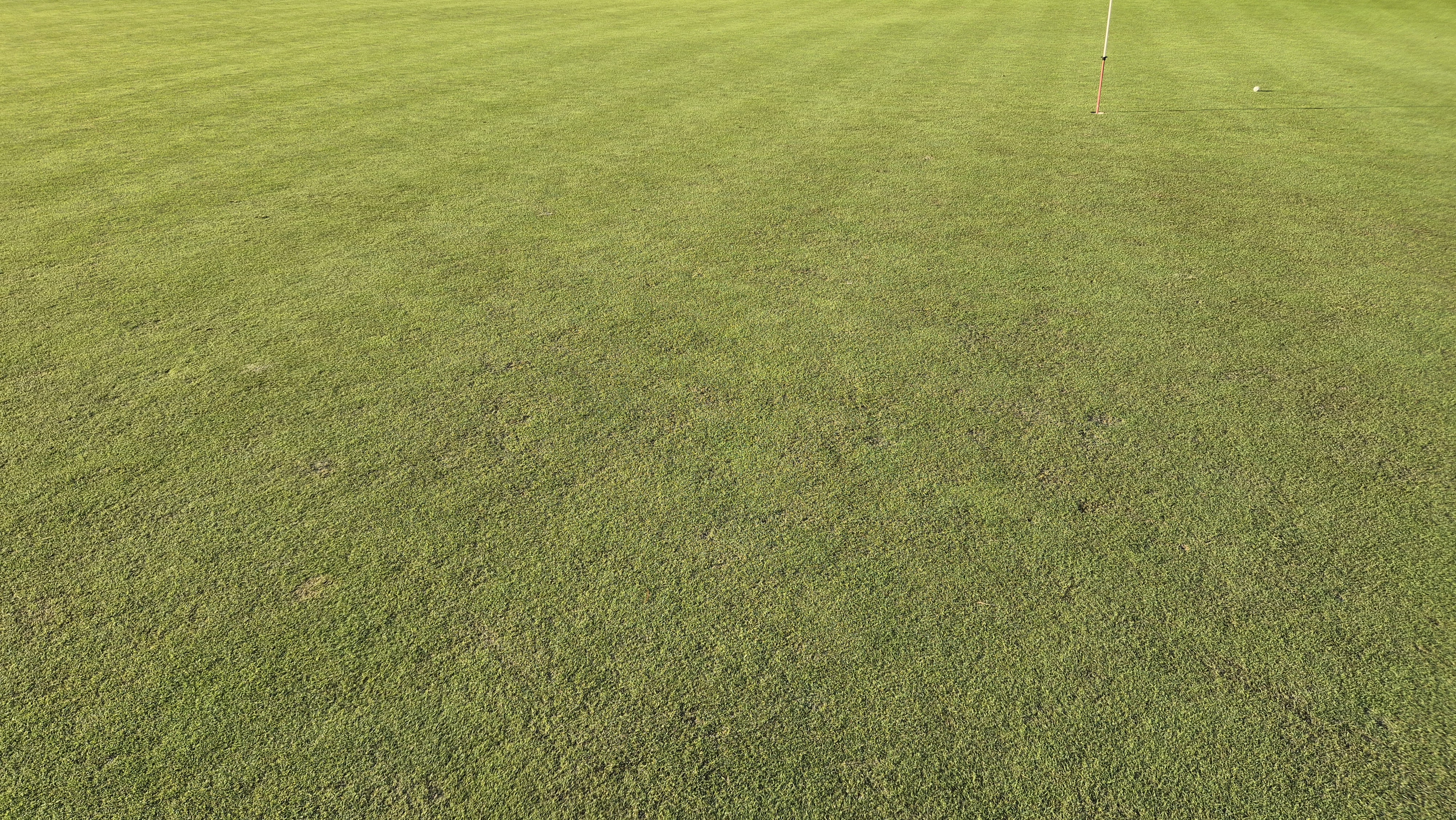 힐데스하임cc 밸리-레이크 코스 라운드 후기