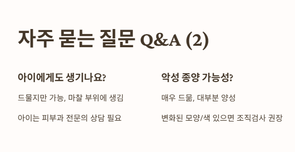 자주 묻는 질문 Q&amp;A 2