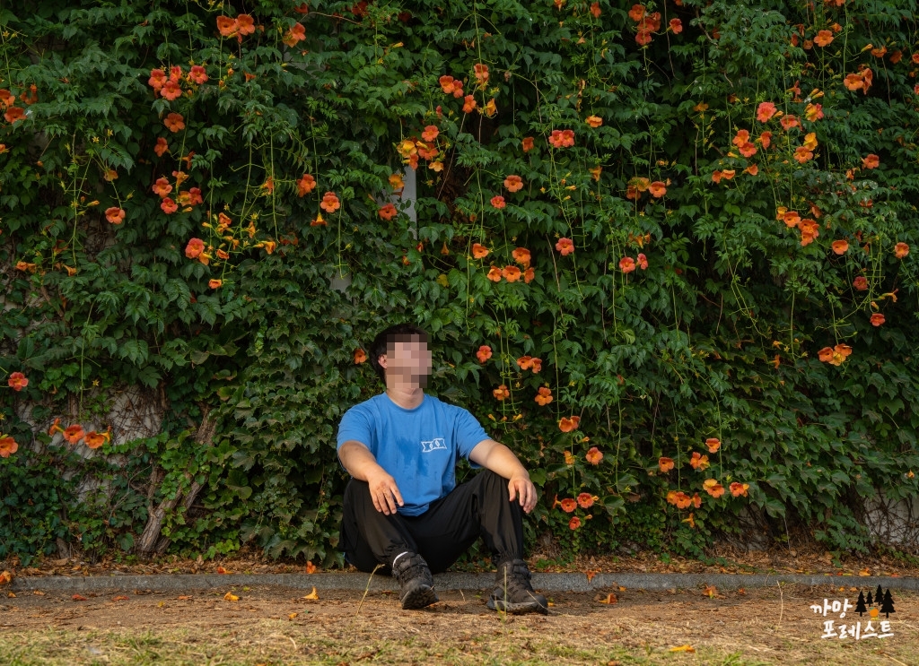 뚝섬 능소화 인증샷