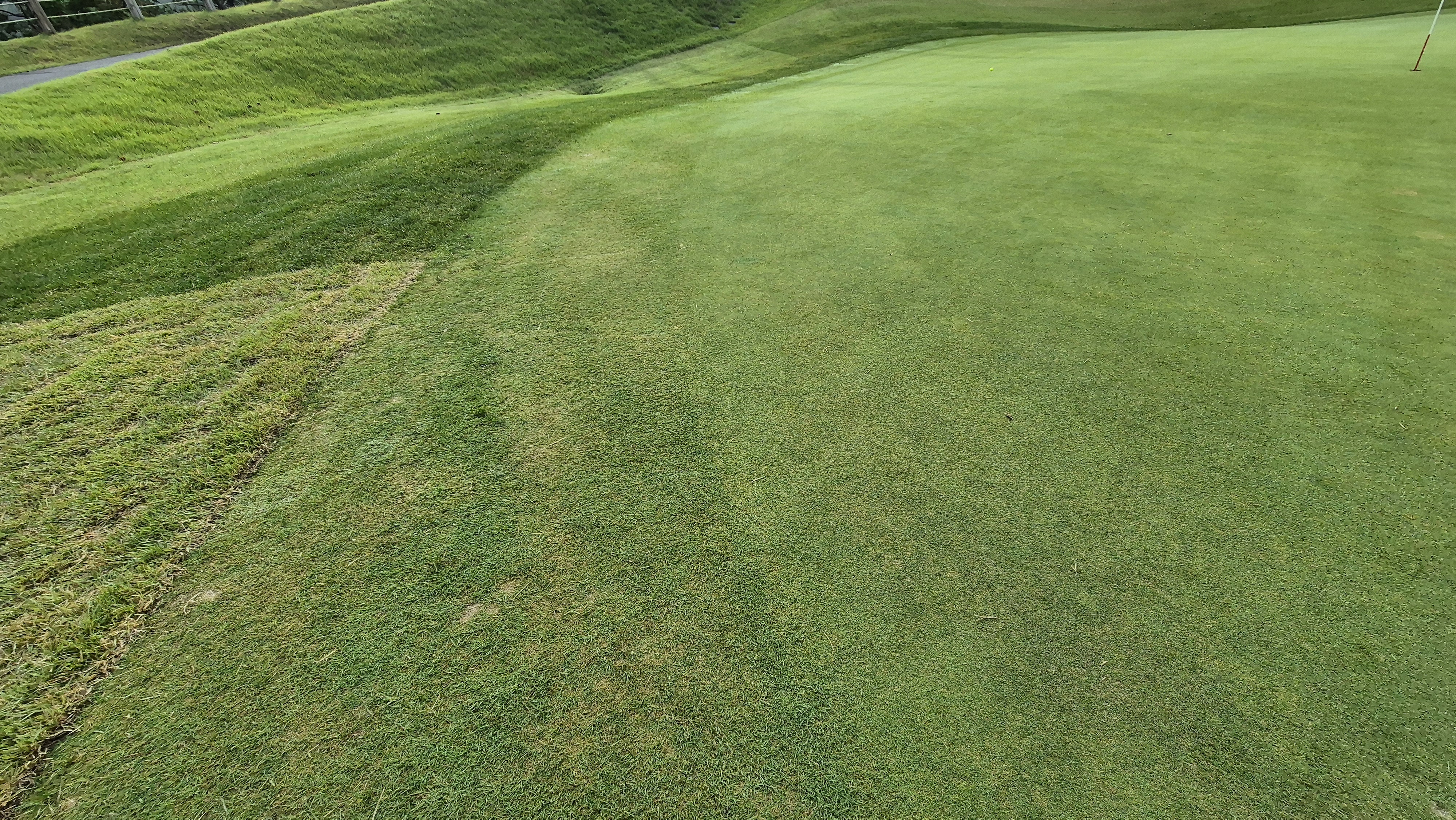 오로라cc 그린 관리 상태