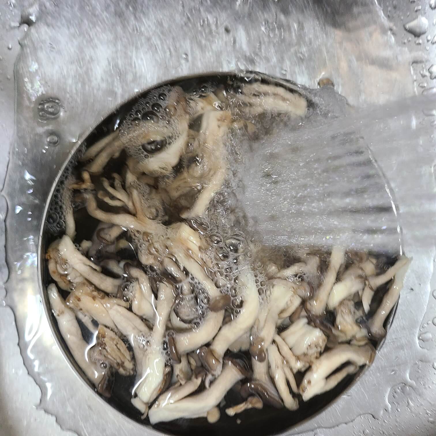 느타리버섯 보관