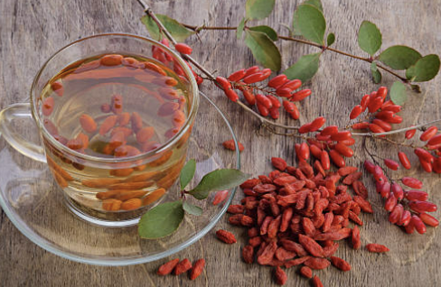 구기자 효능 부작용 구기자차 끓이는 법 총정리(최신)