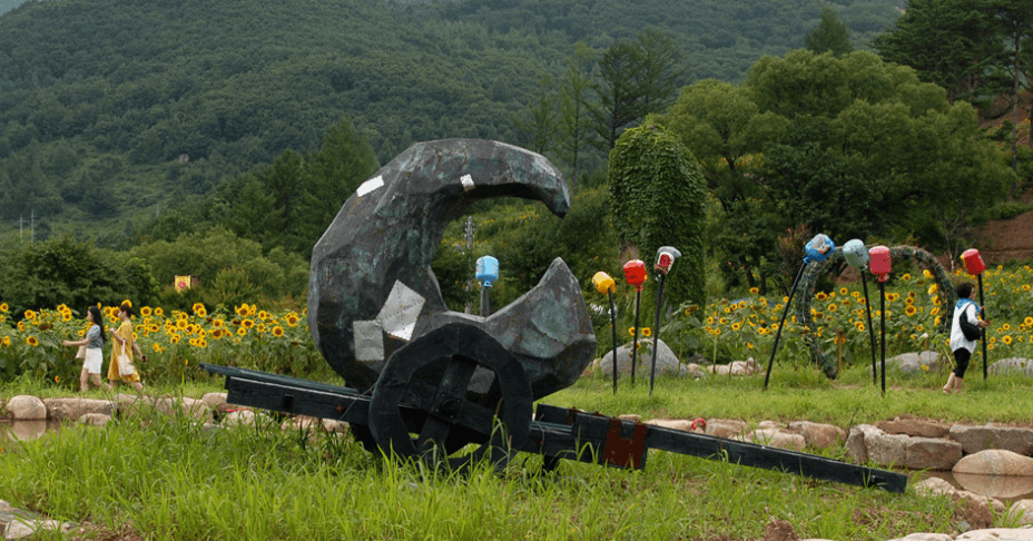 ํ๋ฐฑ-ํด๋ฐ๋ผ๊ธฐ-์ถ์ -์ ๋ณด