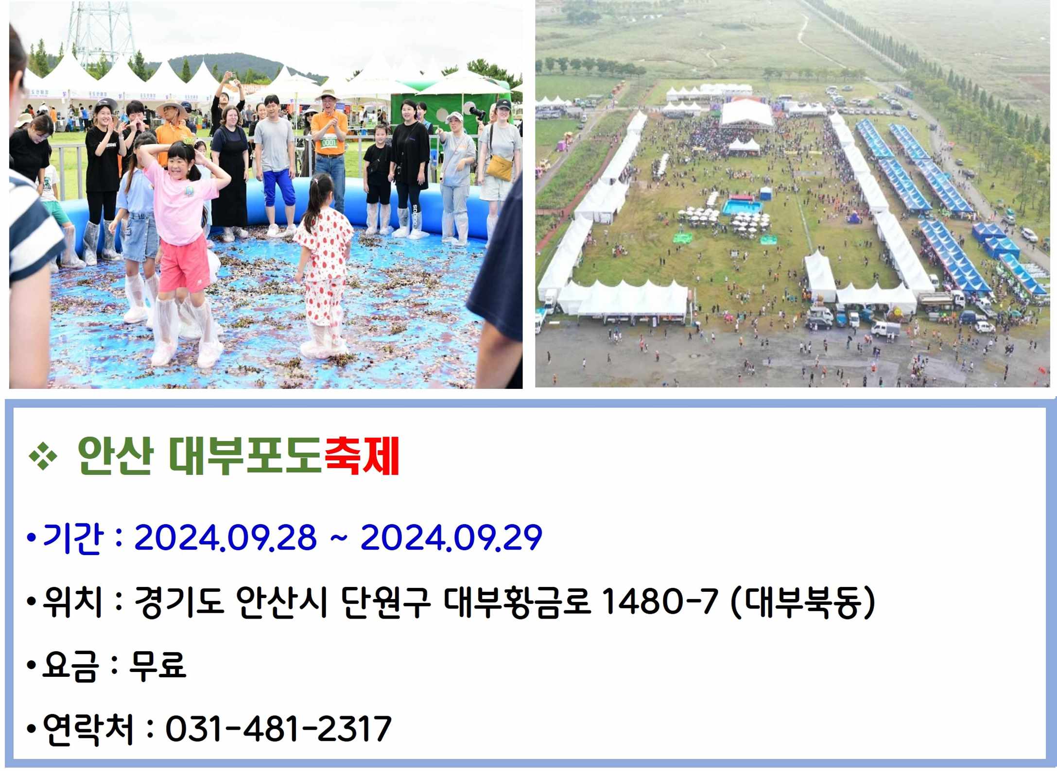 안산 대부포도축제