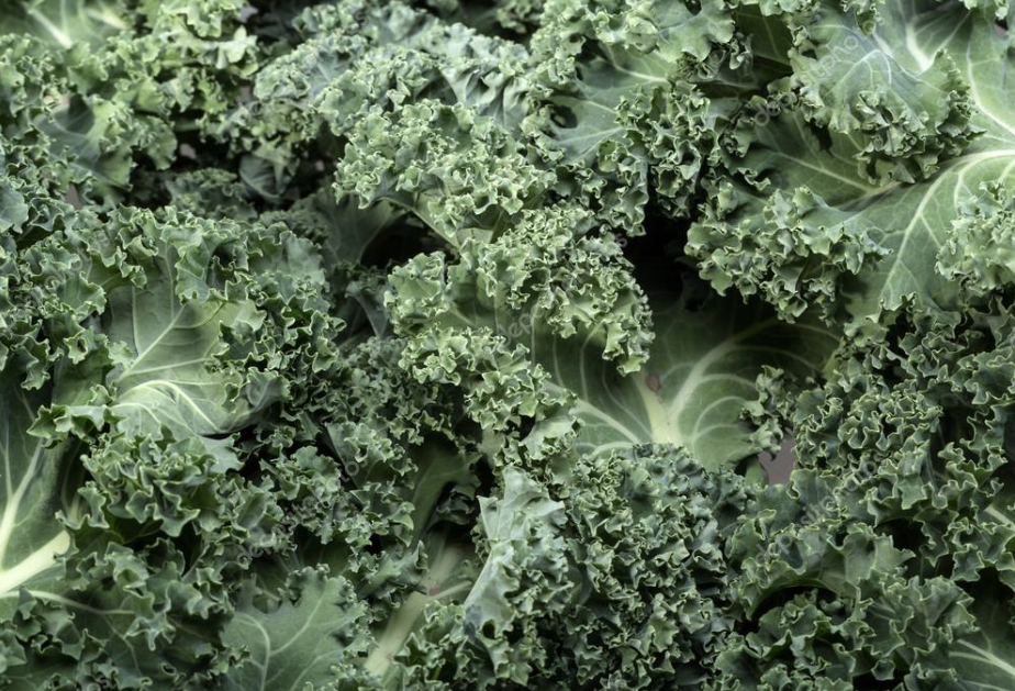 컬리케일 이미지