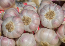 깐 마늘을 포함한 마늘 사진들