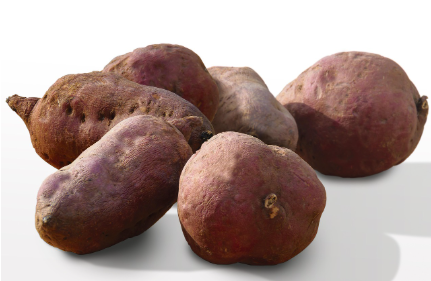 다이어트엔 무조건 밤고구마? 퍽퍽함 속에 숨겨진 놀라운 반전 효능!