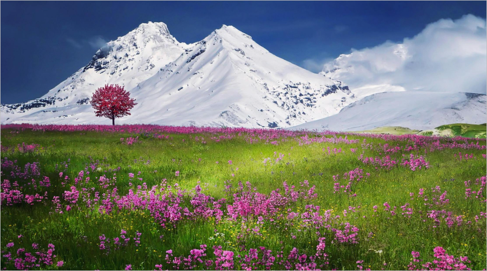 서울시 임산부 교통비 최대 100만 원 상향! 자녀 수별 혜택 및 소급 적용 완벽 정리