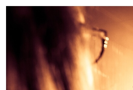 문화비소득공제