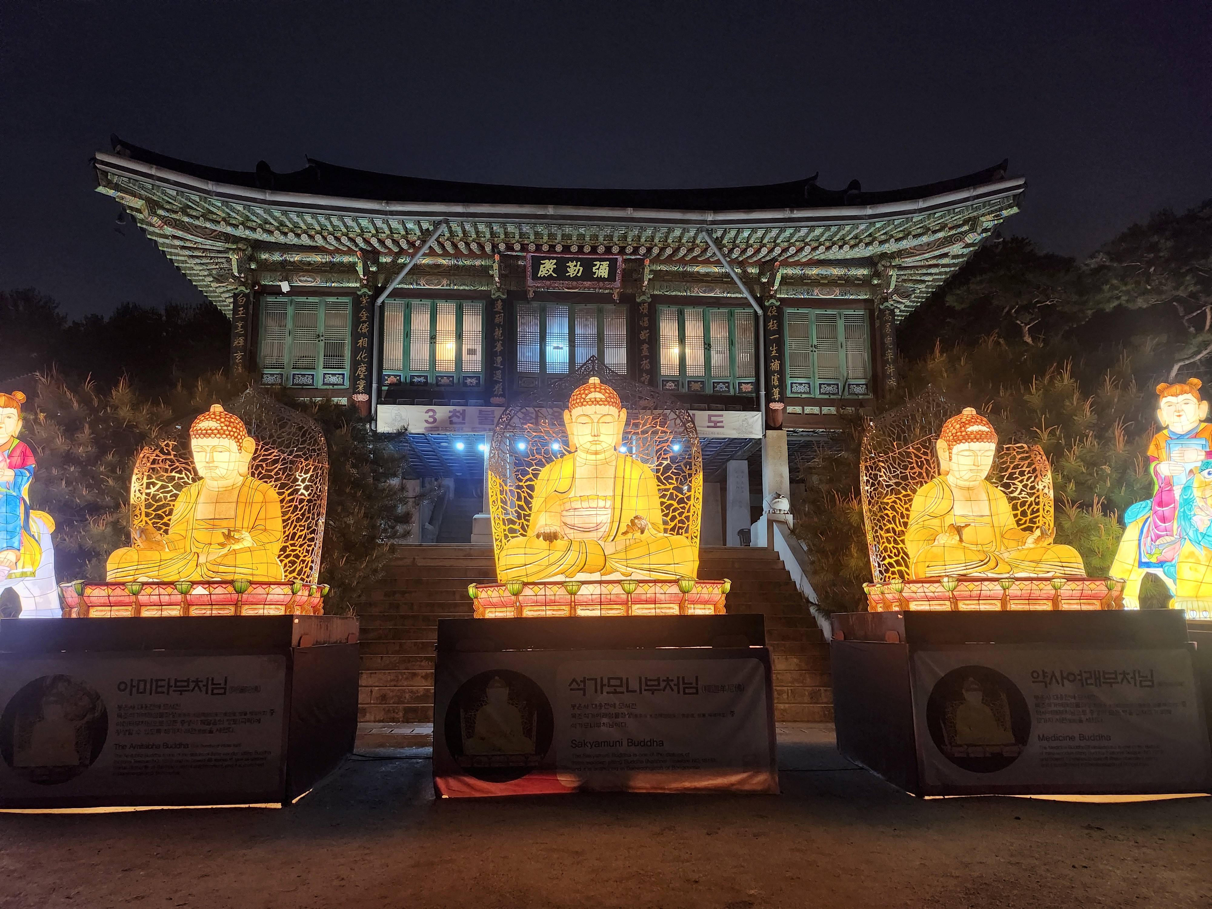 2025. 4. 19. 봉은사 연등제 야경 산책 후기 (겹벚꽃, 라일락, 홍매화 개화상황 포함)