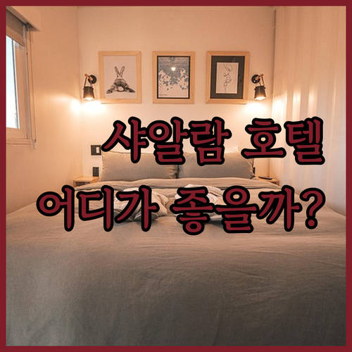 샤 알람 호텔, 어디에서 묵을까? 폭..