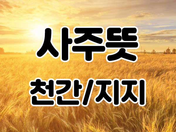 사주 뜻 천간 지지 썸네일
