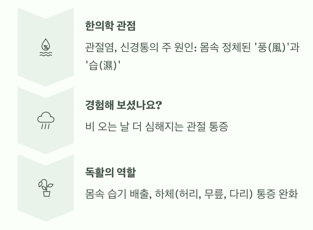 우리 몸의 '습기'를 몰아내는 제습기