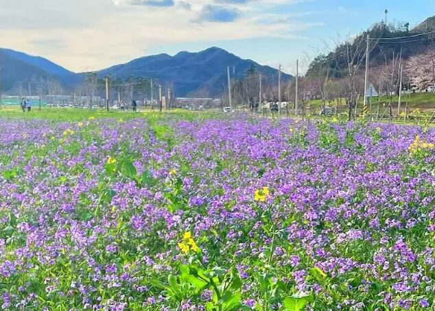 양산 가볼만한곳 베스트 10