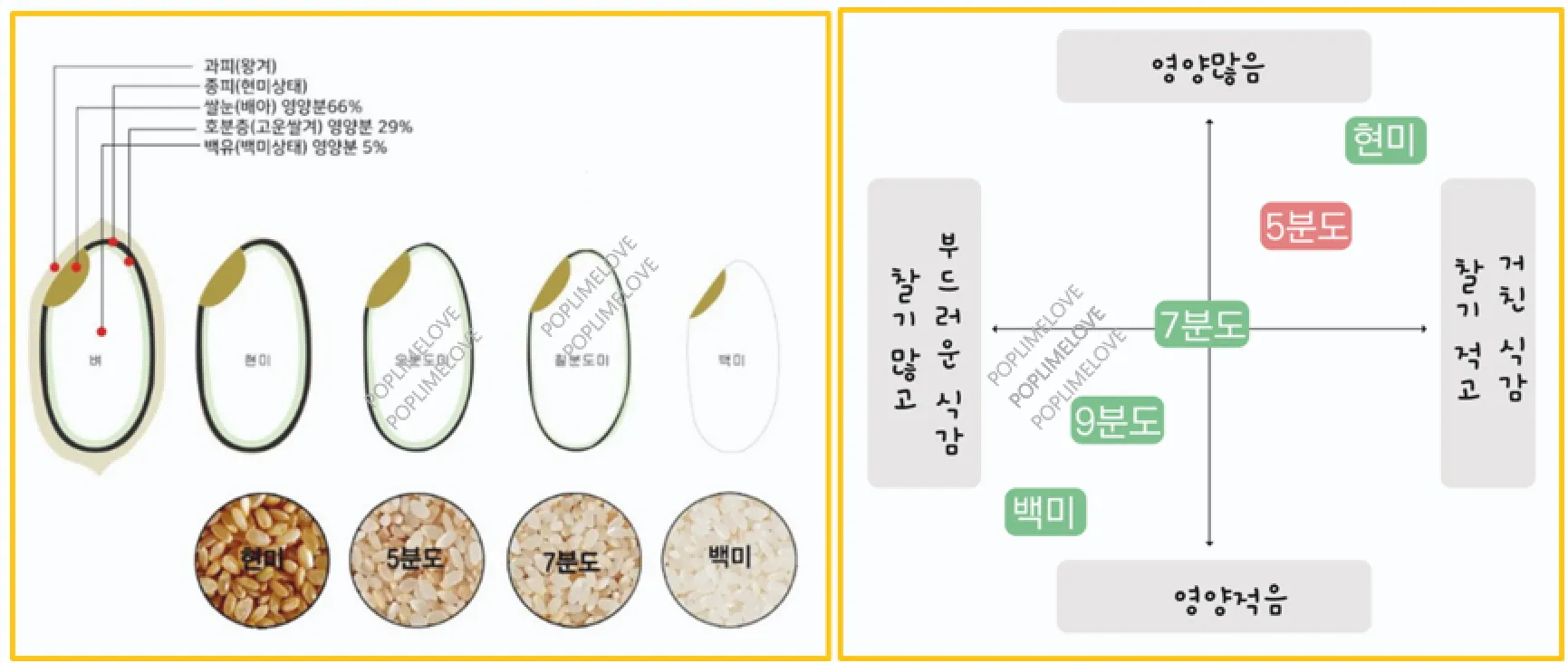 오분도미 효능