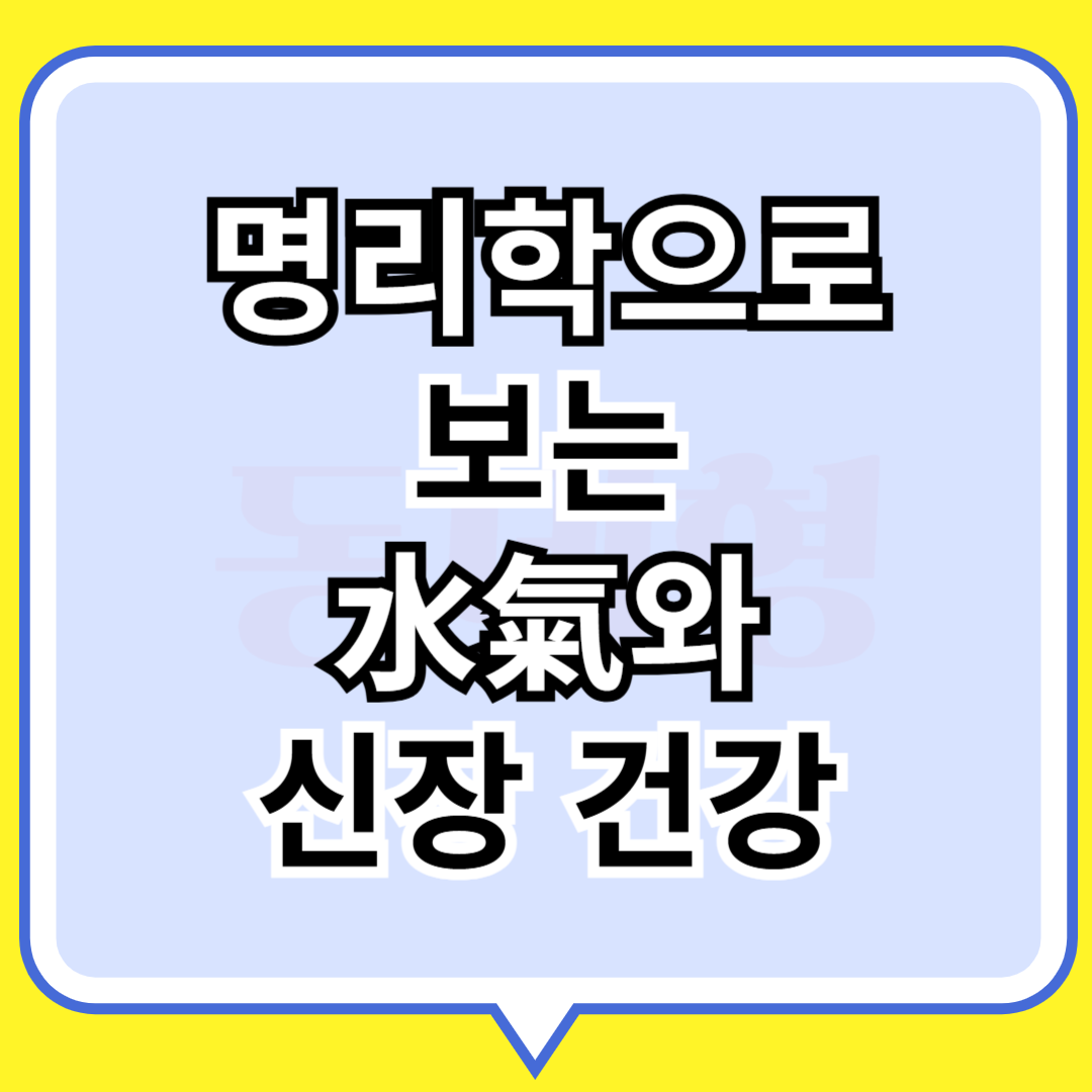 명리학으로 보는 수기와 신장건강