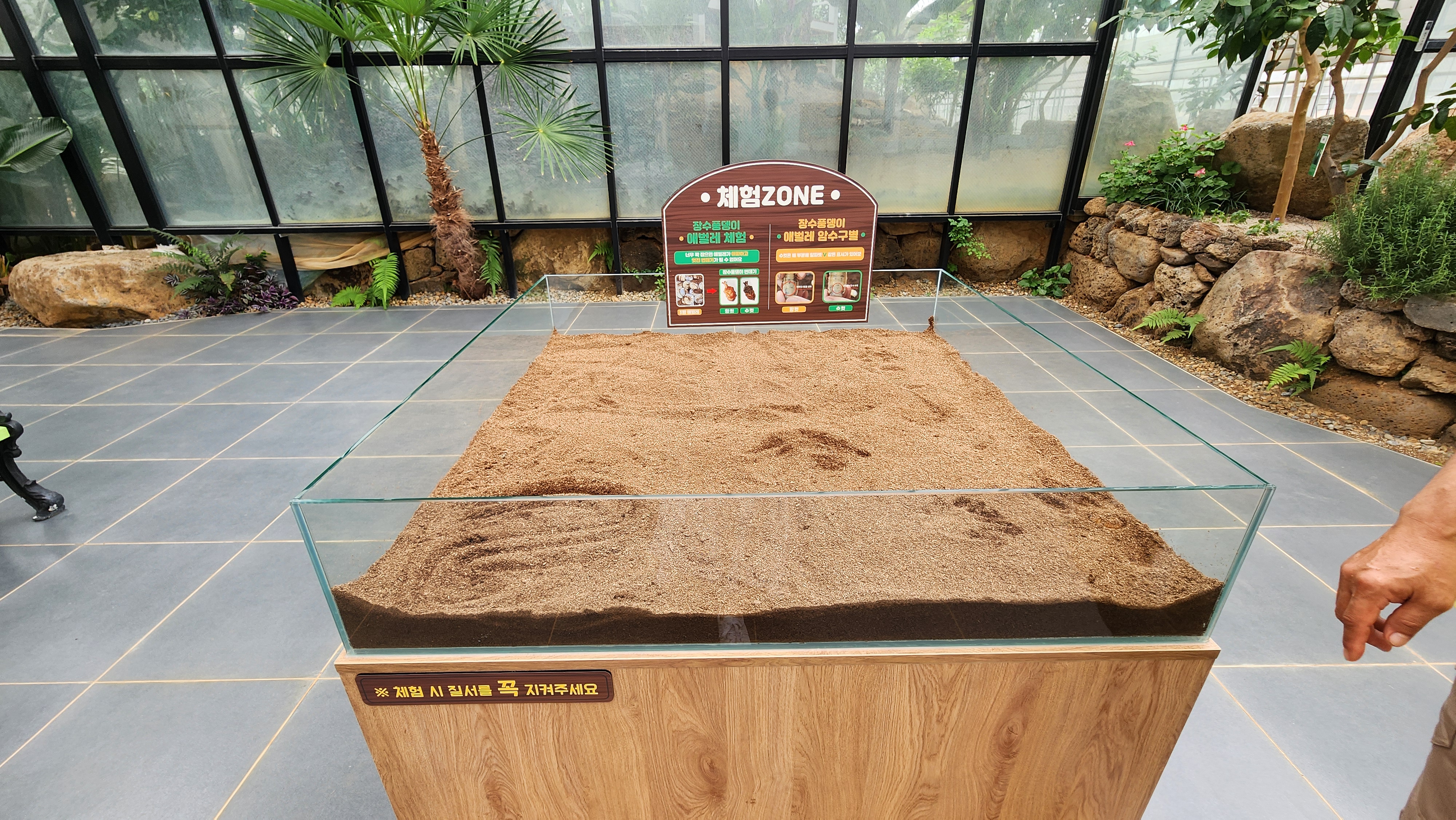 자라섬 이화원&amp;#44; 가평 가볼만한곳