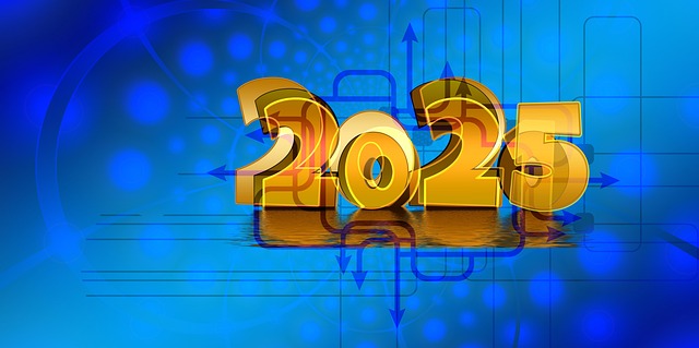 큐리오시스 공모주 