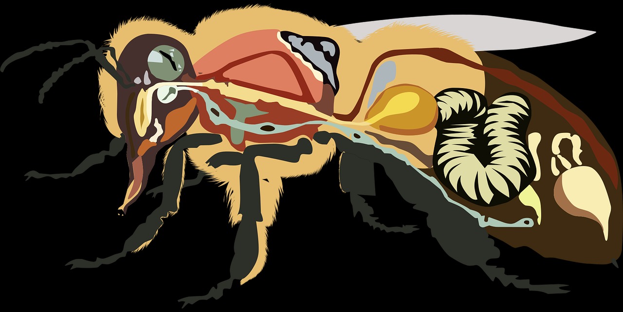 프로폴리스-효능-후기-기관지