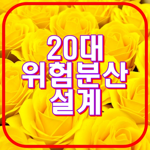 20대 위험분산 설계