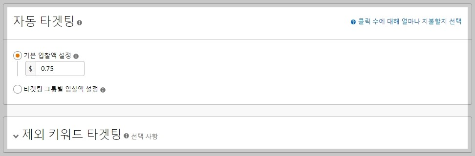 Amazon Advertising Campaign 6