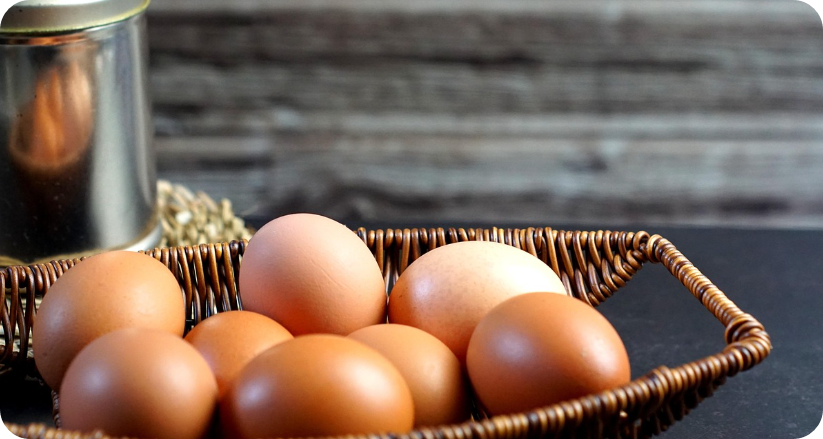 단백질 대표 음식 계란 사진