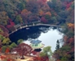 내장산 케이블카 요금 및 예약방법