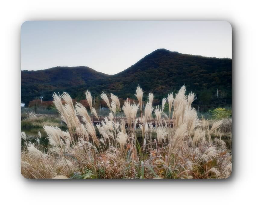 섬네일