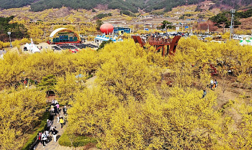3월 국내 여행지 추천