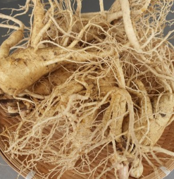 홍삼 효능 부작용