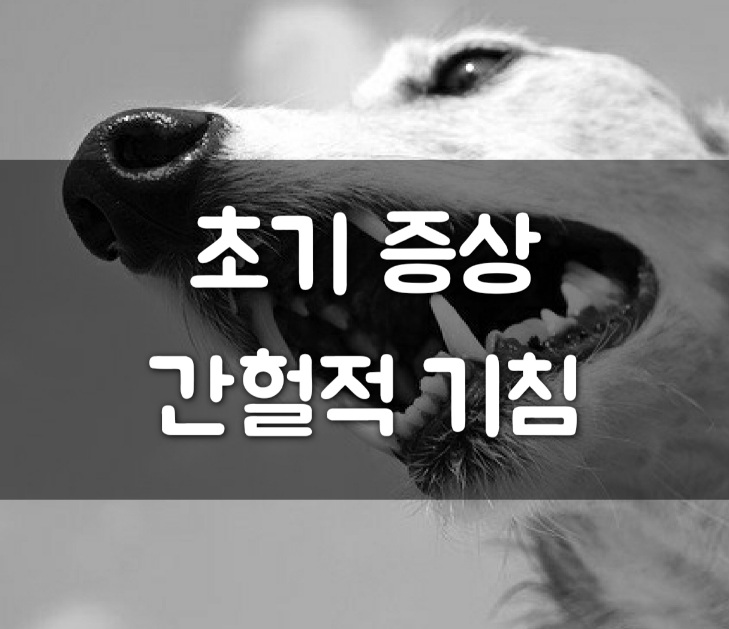 초기 증상 간헐적 기침