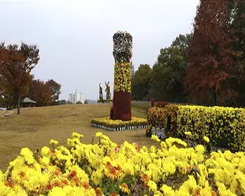 연천 국화축제_11