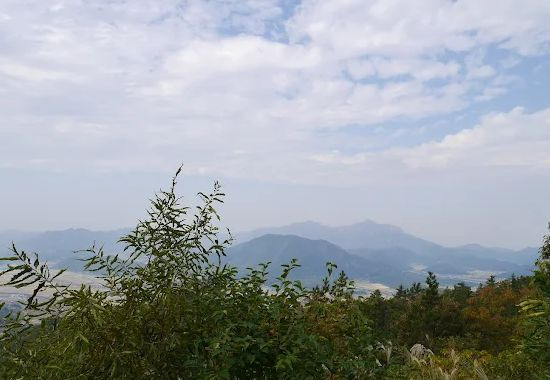 보은산