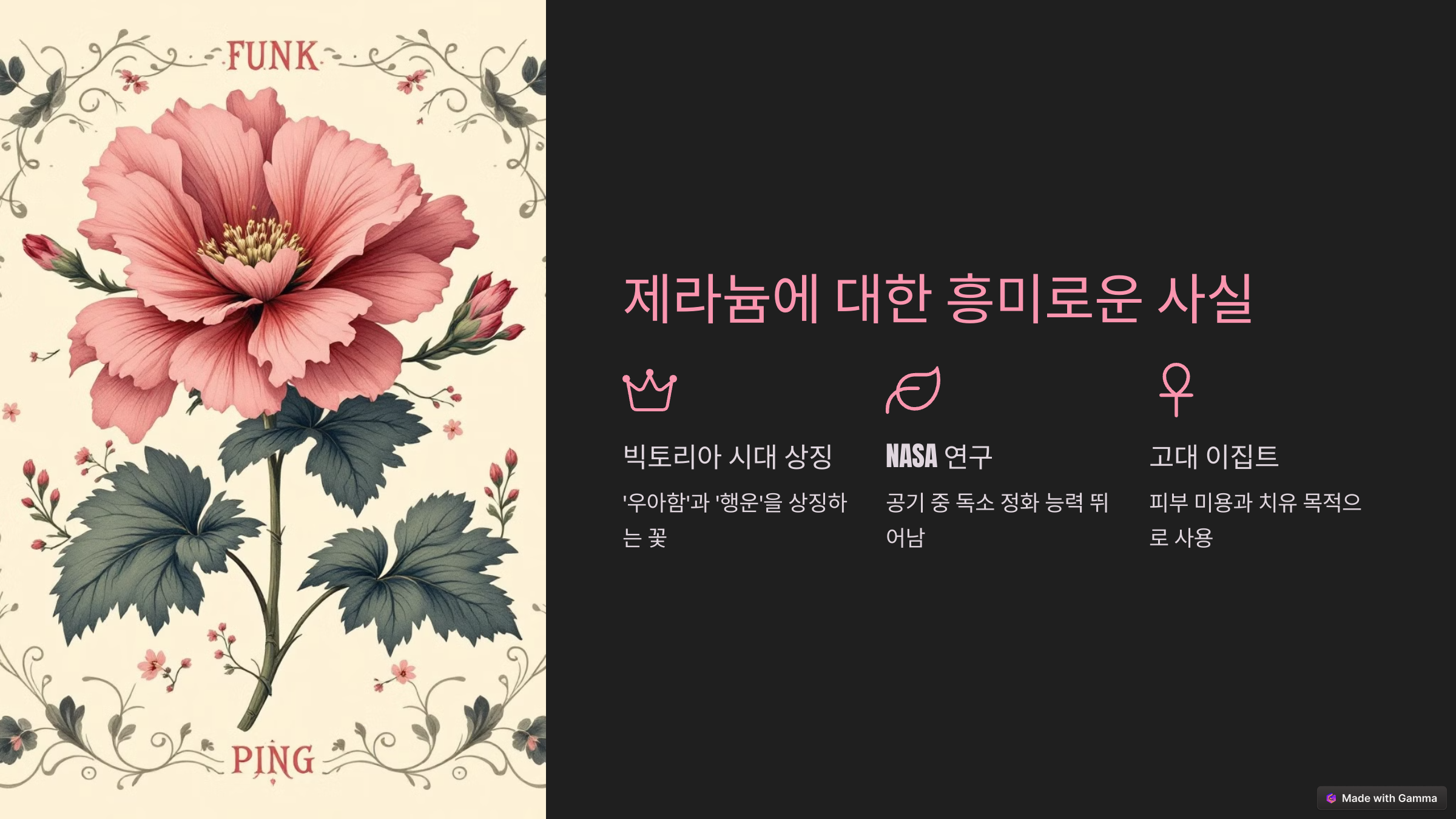 제라늄