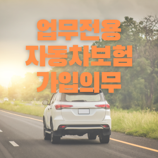 업무전용-자동차보험-가입의무