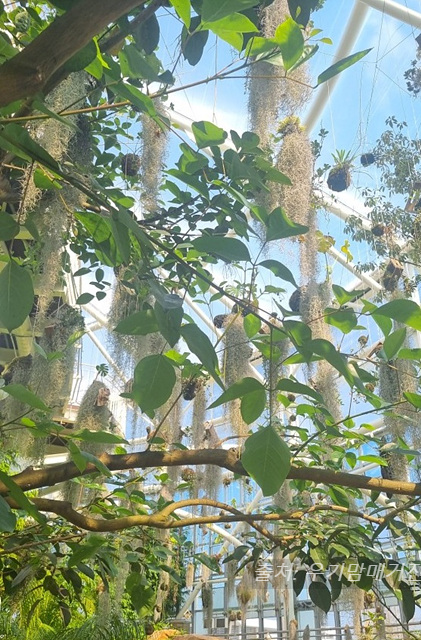 24년 순천만 국가정원 식물원 동문 순천여행