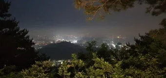 대전 은행동 역전 새벽시장하루가 가장 먼저 시작되는 따뜻한 풍경 기록_10