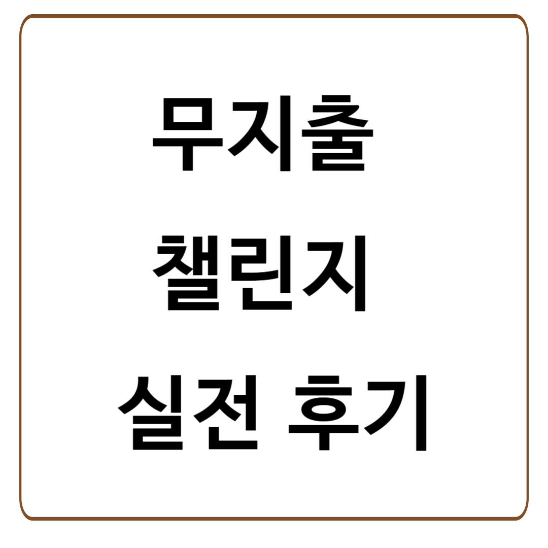 무지출 챌린지 실전 후기