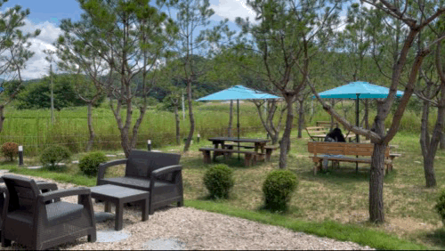 춘천-베이커리-카페-38마일(38MILE)-테라스석-전경-영상