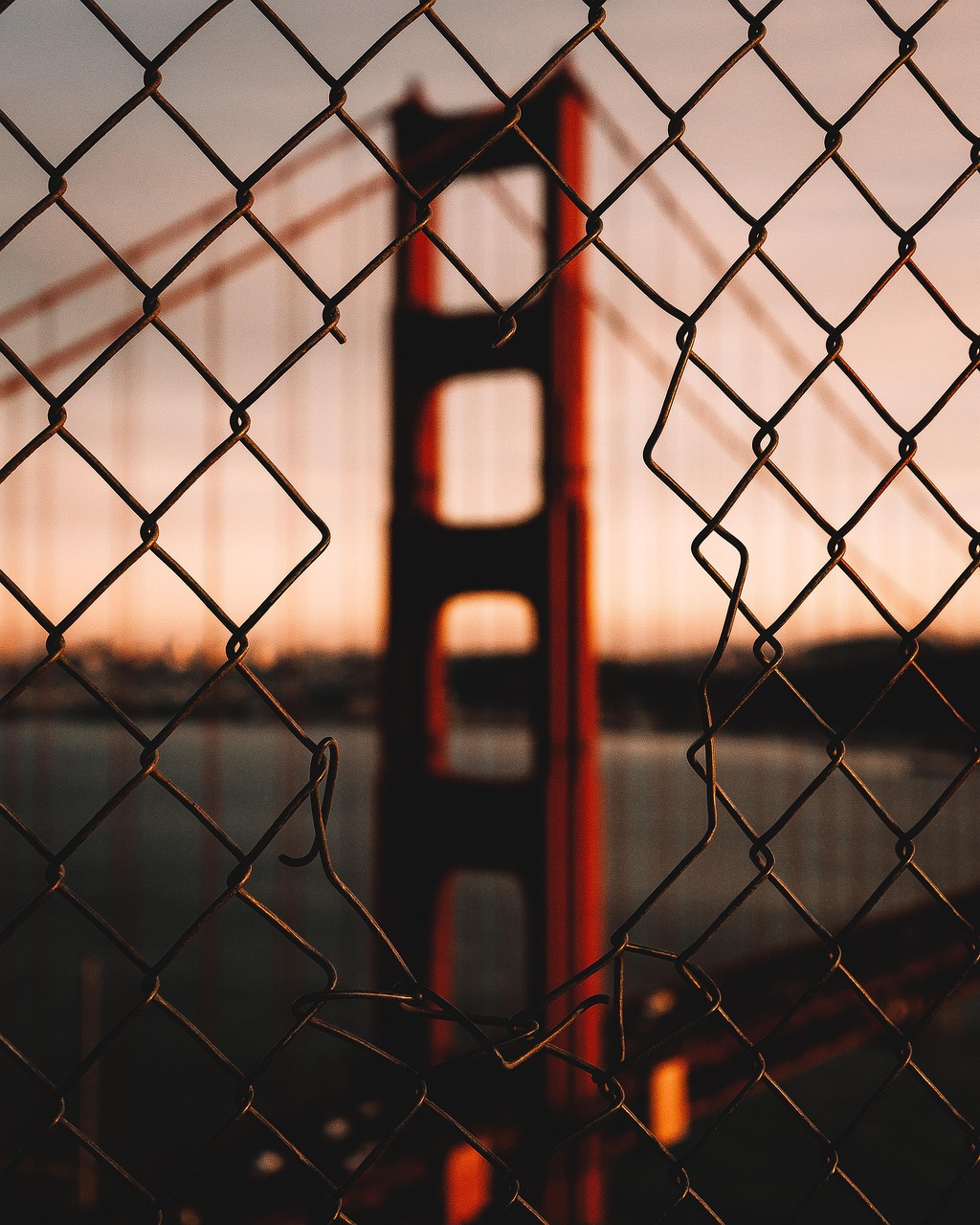 미국 셧다운 주식 관련주 비트코인 환율 요약 정리