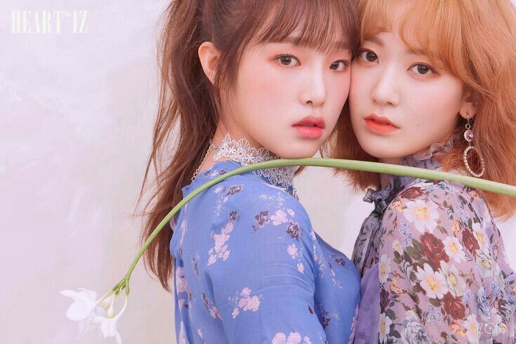 아이즈원 프로듀스48 사진 모음