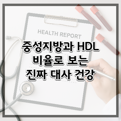중성지방과 HDL, 비율로 보는 진짜 대사 건강
