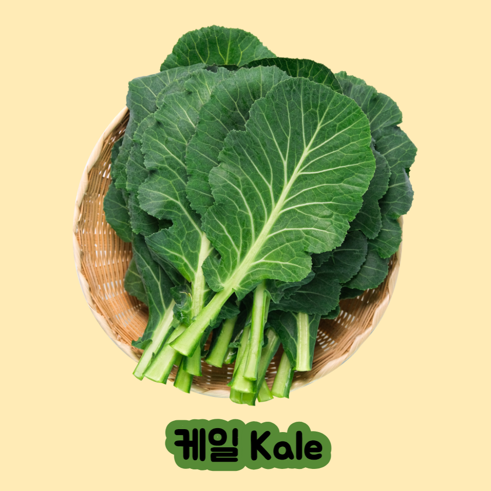 케일 퀘르세틴