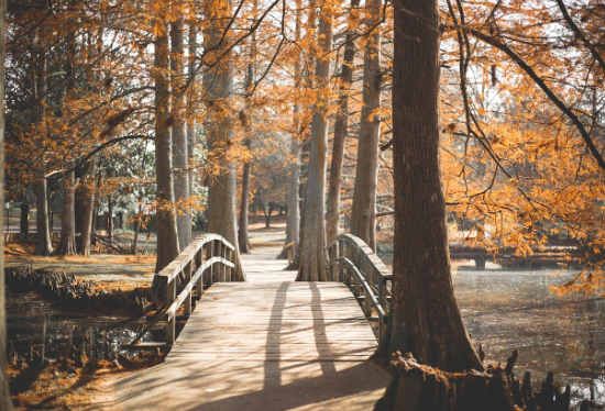계절별로 즐기는 국내 로컬 축제와 문화재 여행
