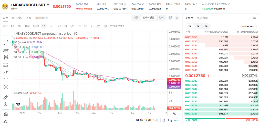 베이비도지코인 시세 가격 전망
