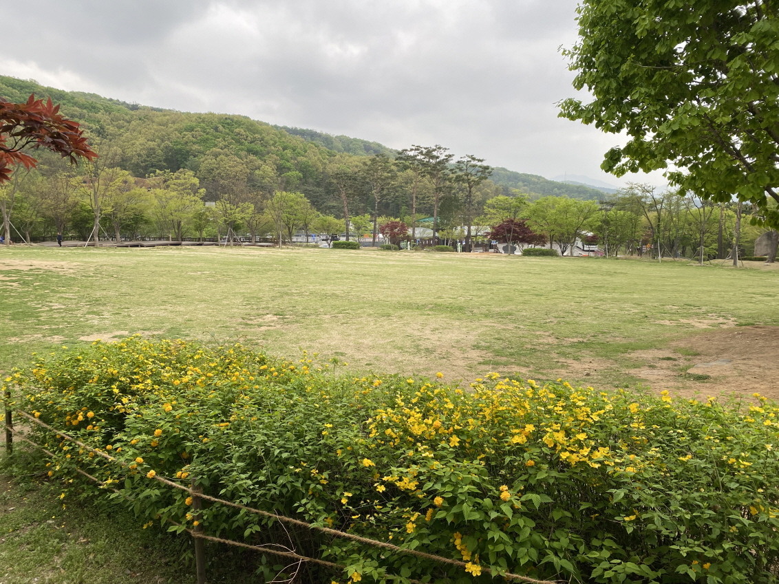 용인자연휴양림