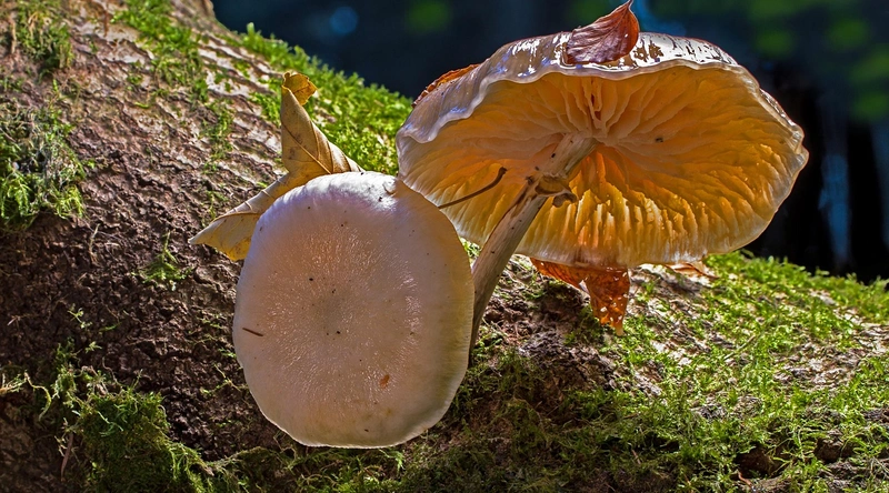 1. 공장 내부 칸막이의 필요성